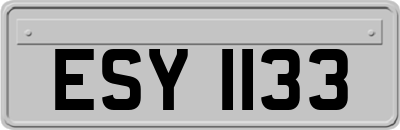 ESY1133