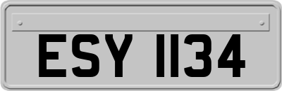 ESY1134