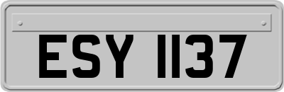 ESY1137