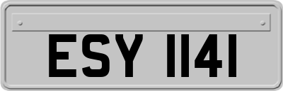 ESY1141