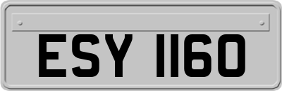 ESY1160