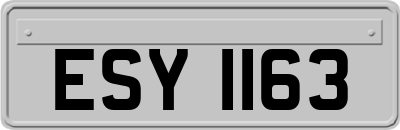 ESY1163