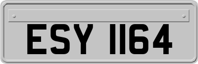ESY1164