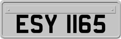 ESY1165