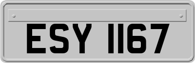 ESY1167