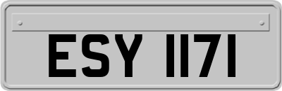 ESY1171