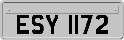 ESY1172
