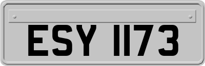 ESY1173