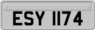 ESY1174