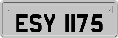 ESY1175