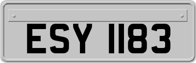 ESY1183
