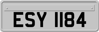 ESY1184