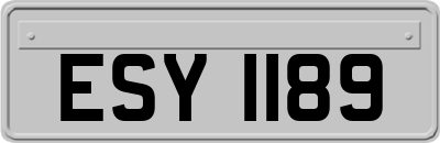ESY1189
