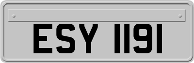 ESY1191