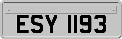 ESY1193