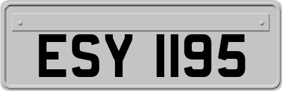 ESY1195