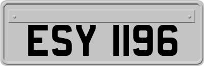 ESY1196