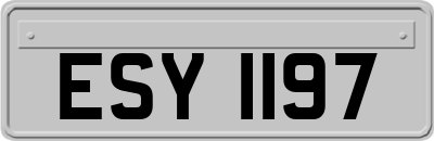 ESY1197