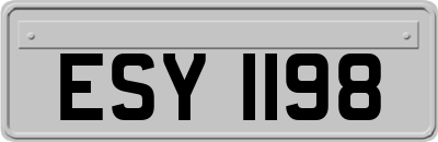 ESY1198