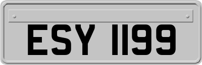 ESY1199