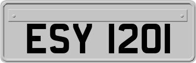 ESY1201