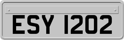 ESY1202