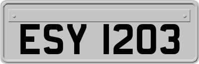 ESY1203