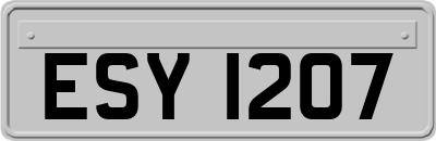 ESY1207