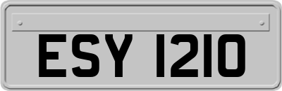 ESY1210