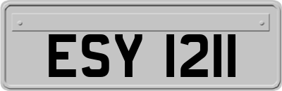 ESY1211