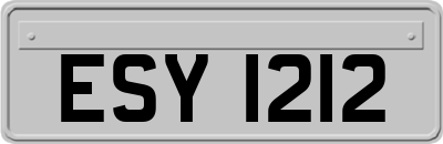 ESY1212
