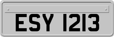 ESY1213