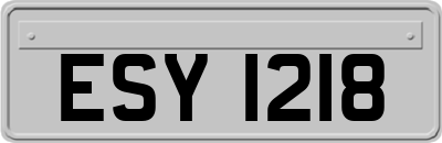ESY1218
