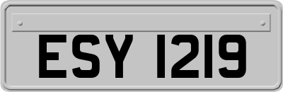 ESY1219