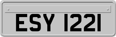 ESY1221