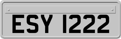 ESY1222