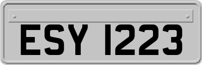 ESY1223