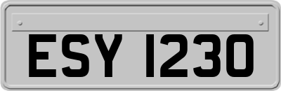 ESY1230