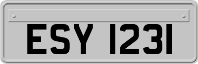 ESY1231