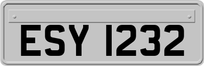 ESY1232