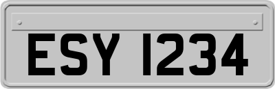 ESY1234