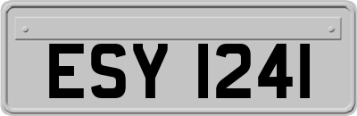 ESY1241