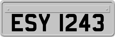 ESY1243