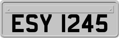 ESY1245