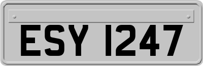ESY1247