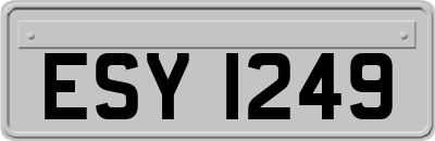 ESY1249