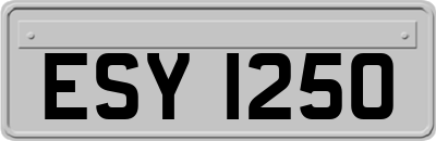 ESY1250