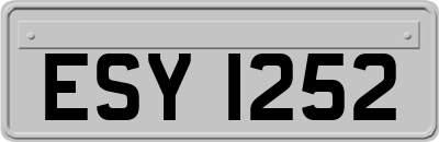ESY1252