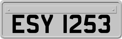 ESY1253