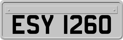 ESY1260